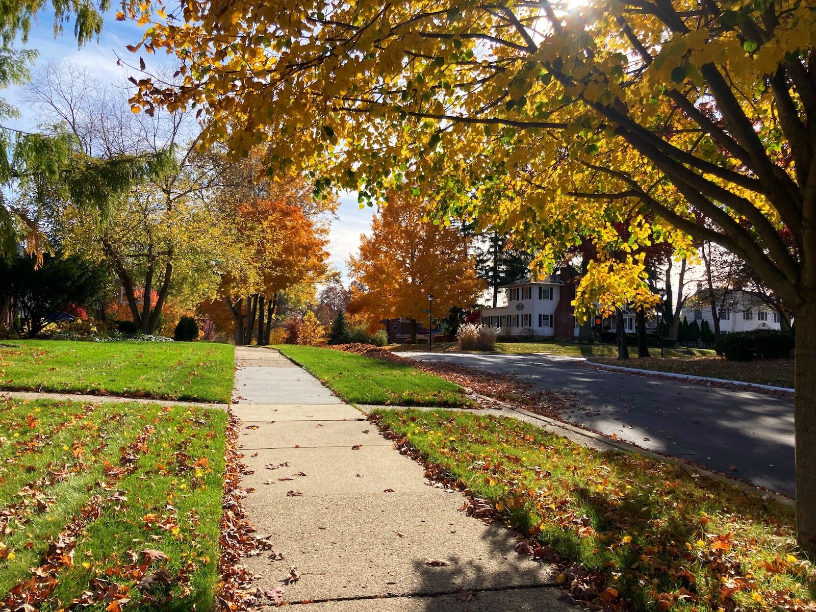 If you drive the winding streets of Historic Southwood Park in the fall, you’ll be swept away into an Autumn wonderland.