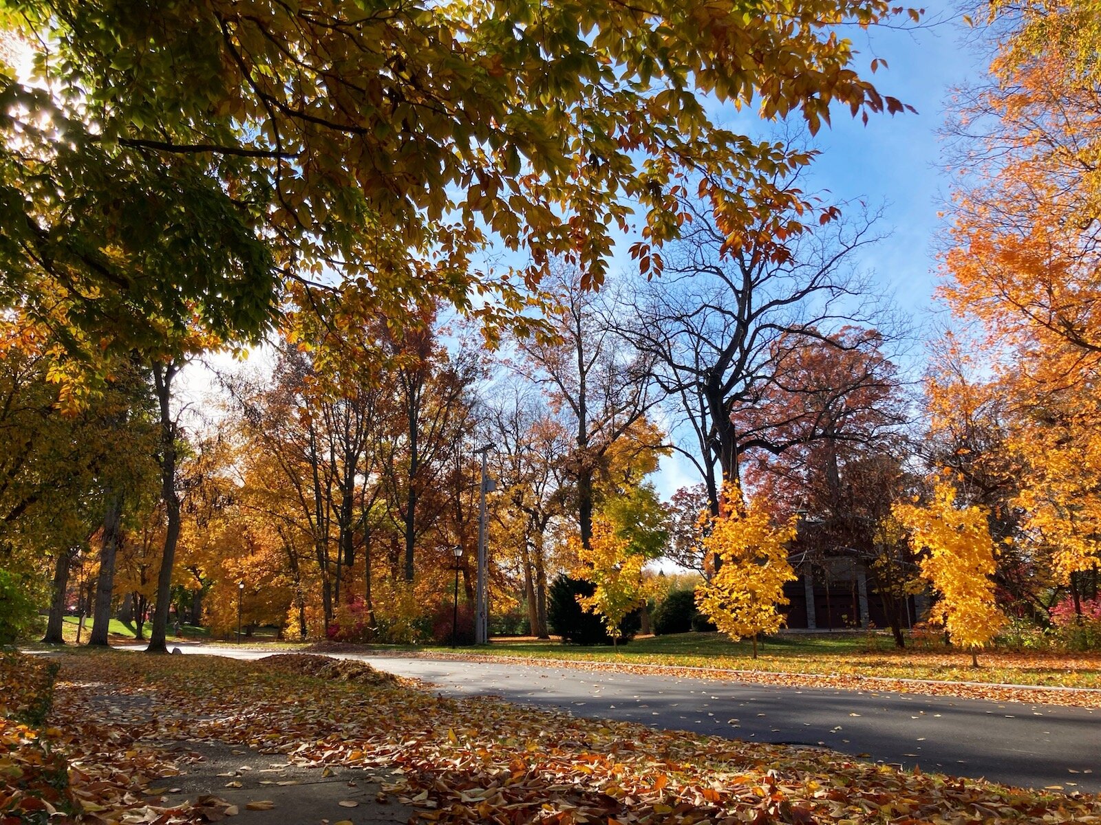Native trees create a colorful canopy of reds, oranges, yellows, and purples in Historic Southwood Park each fall.