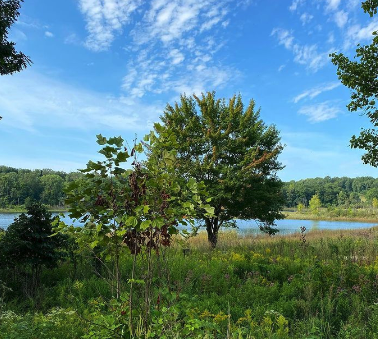 This week's #PlacesofNEI feature is the Trine State Recreation Area in Angola.
