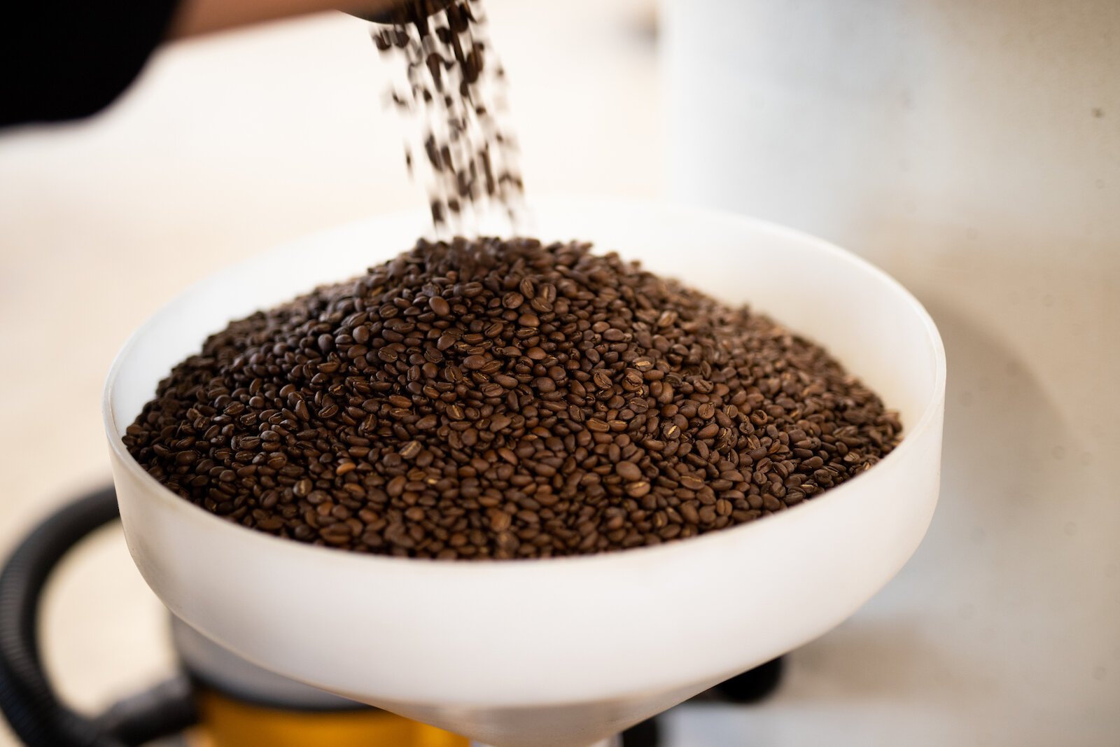 Coffee beans pour out of Utopian Coffee's roaster.