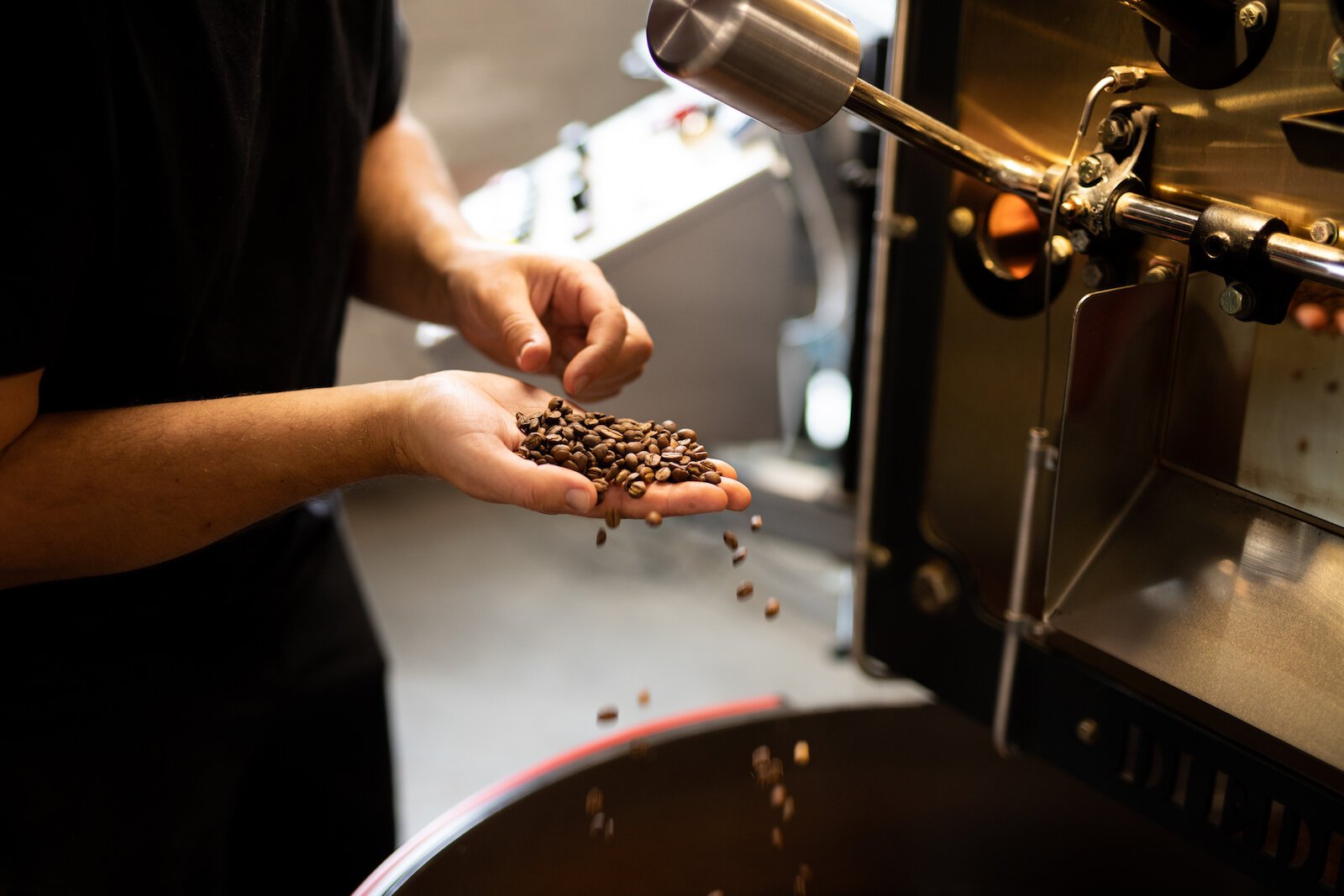 Brehany sifts through coffee beans for quality control.