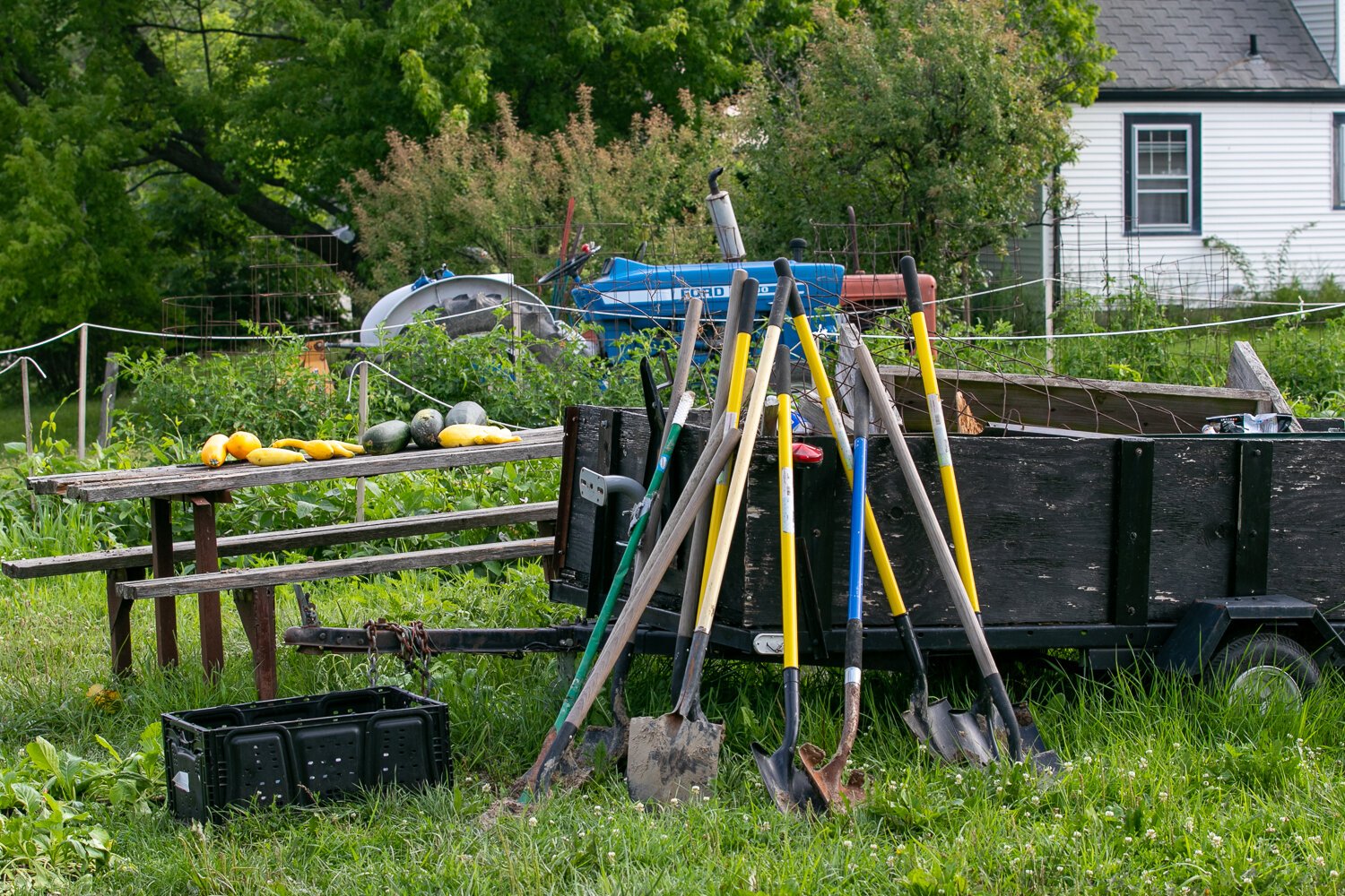 Along with Smiley, Simmons, and the youth, community volunteers help farm the land at 2512 E. Tillman Rd.