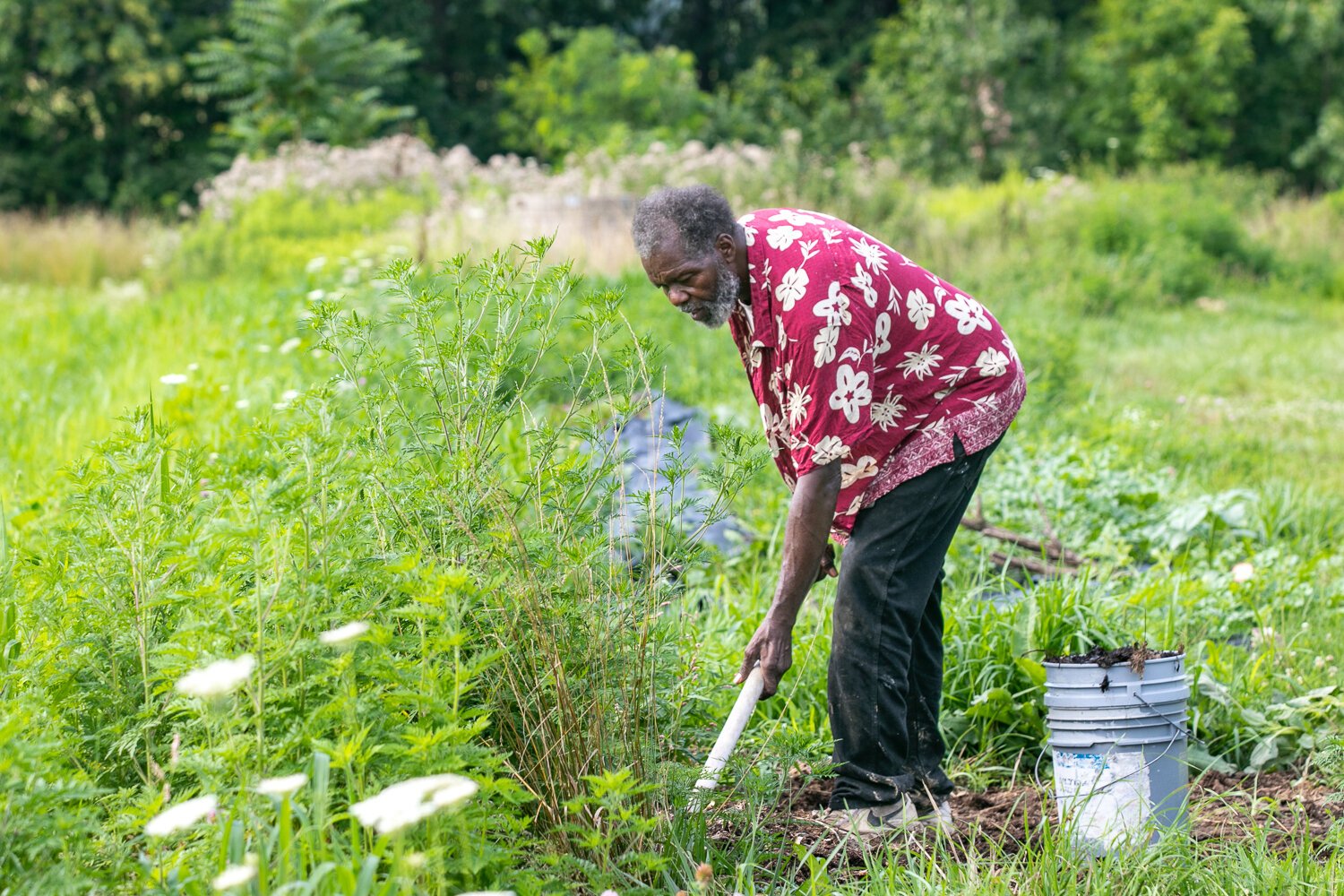 Ephraim Smiley of Smiley’s Garden Angels has been farming for more than 25 years.