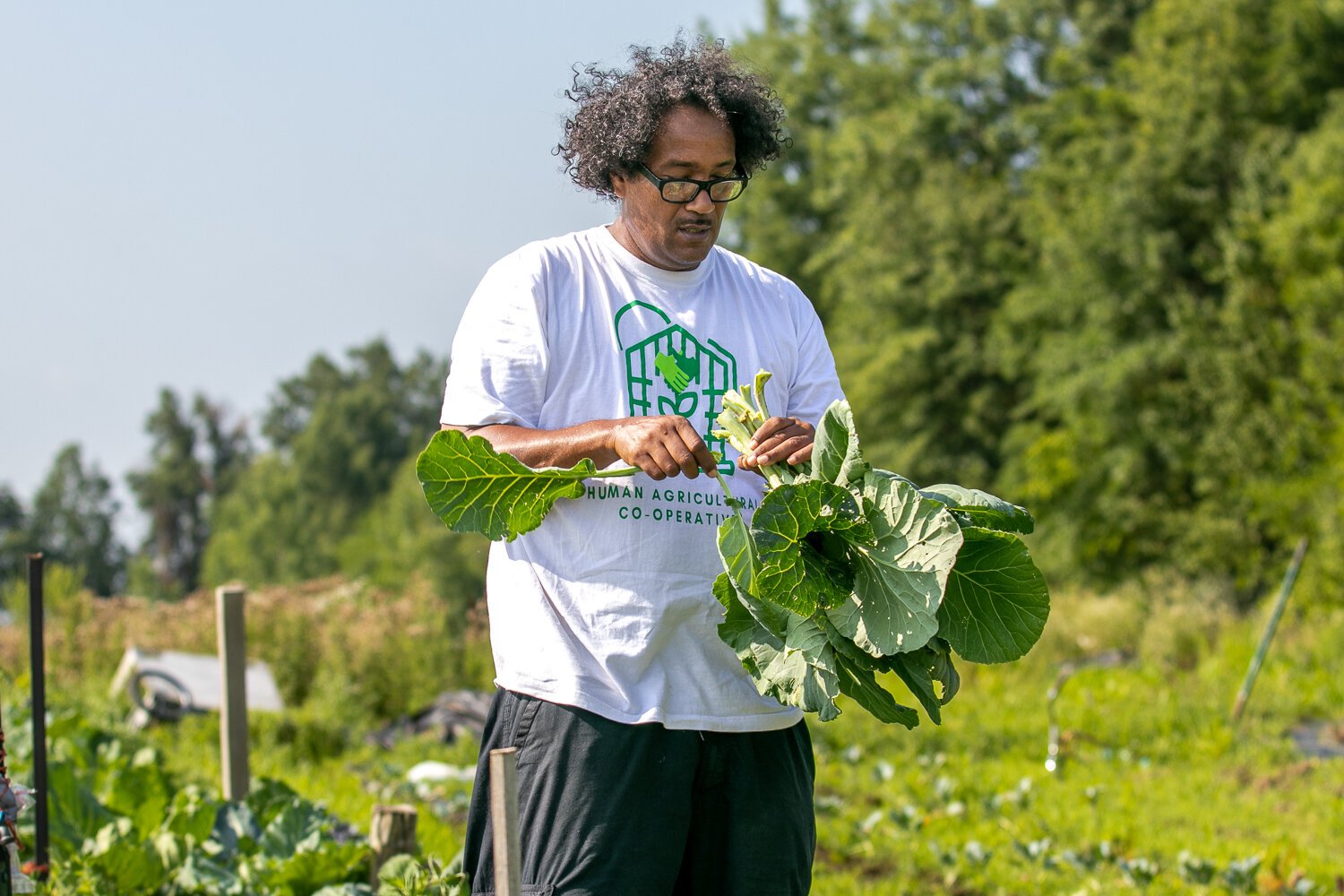Ty Simmons is Director of the Human Agricultural Cooperative.