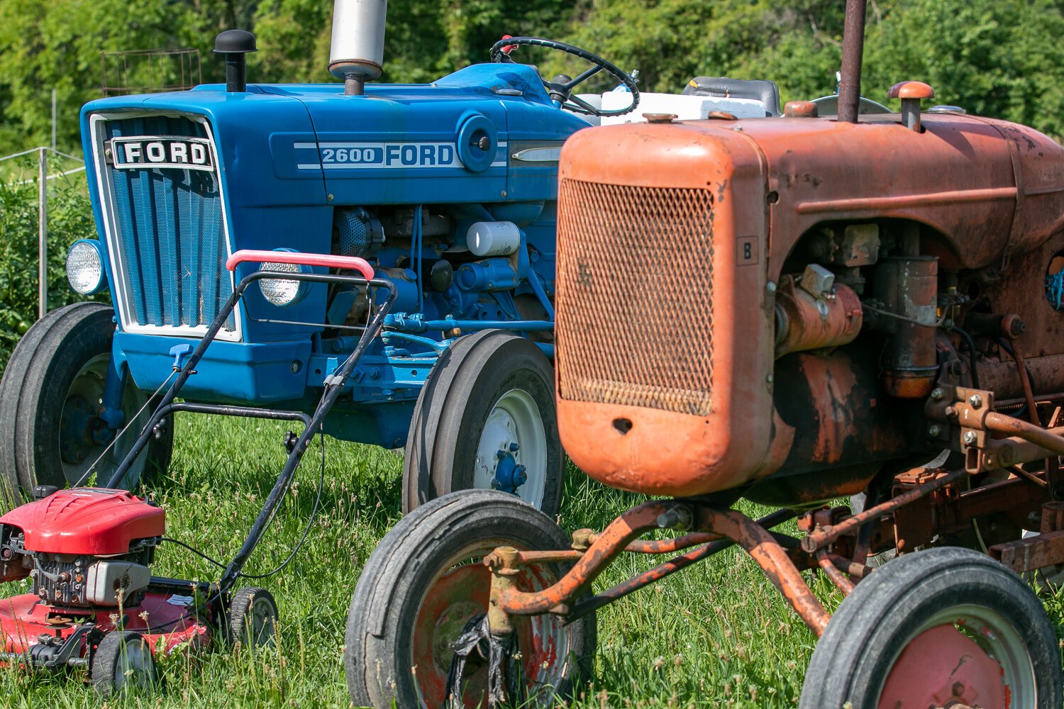 Neighborhood and community supporters have donated most of the farm supplies to help Simmons and Smiley grow and distribute food in the South East community.